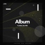 Artwork voor "Album"