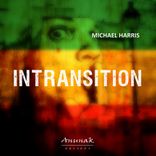 Artwork voor "inTransition"