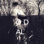 Artwork for "Beyond The Grey"