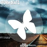 Artwork for "Storm"