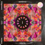 Artwork voor "Siento"