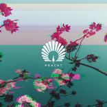 Artwork for "Caprice Remixes"