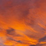 Whispers of Serenity