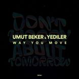 Artwork for "Way You Move"