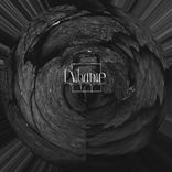 Artwork für "spectral life"