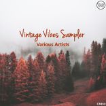 Artwork for "Vintage Vibes Sampler"