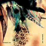 Artwork for "Mana Remixed"