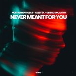 Artwork for "Never Meant for You"