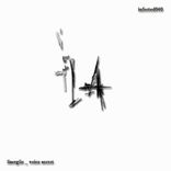 Portada para "Voice Secret"