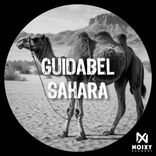 Artwork for "Sahara"