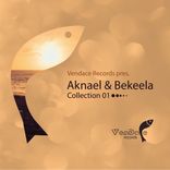 Portada para "Vendace Records pres. Aknael & Bekeela Collection 01"