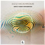 Fossils From the Catacombs