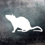 Artwork for "Ricalibrate Everything"