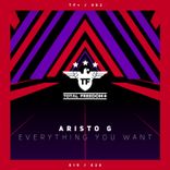 Portada para "Everything You Want"