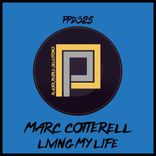 Artwork voor "Living My Life"