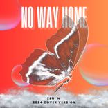 no way home