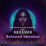 Artwork for "Beloved Istanbul"