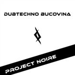 Artwork for "DubTechno Bucovina"