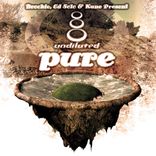 Artwork for "Pure"
