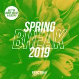 Artwork for "Spring Break 2019 (Best of Dance, House & Electro)"