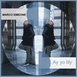 Artwork for "Ay yo Lily"