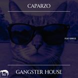 Artwork for "Gangster House"