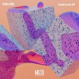 Artwork for "Undercover"