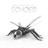 Artwork voor "Echoes"