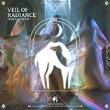 Artwork für "Veil of Radiance"