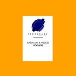 Artwork for "Voltage"