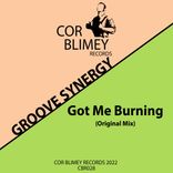 Artwork for "Got Me Burning"