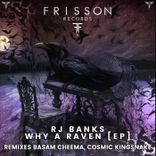 Artwork for "Why a Raven"