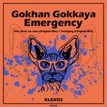 Artwork for "Emergency"