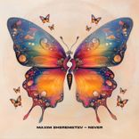 Portada para "Never"