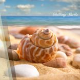 Artwork for "Chilling Shells"