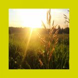 Artwork for "One More Day Remixes"