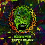 Portada para "Trippin On Acid"