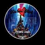 Artwork für "Promise Land (Extended Mix)"