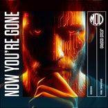 Portada para "Now You're Gone"