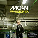 Artwork for "Phoenix"