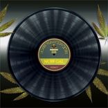 Artwork voor "Nuff Gal"