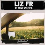 Artwork for "In the Sunshine"