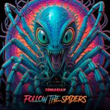 Artwork for "Follow The Spiders"
