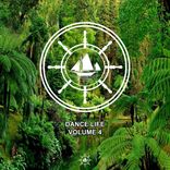 Artwork voor "Dance Life, Vol. 4"