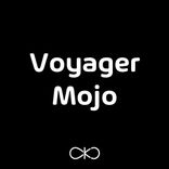 Artwork for "Voyager Mojo (Radio Edit)"