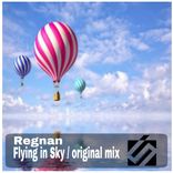 Artwork for "Flying In The Sky"