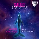 Artwork voor "Where Are You"