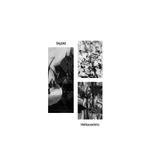 Portada para "Heliocentric"