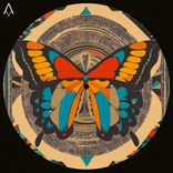 Artwork for "Metamorfosi"