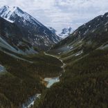 Portada para "Searcher"